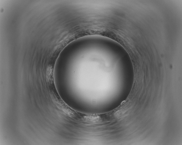 X0000088880480200706081245