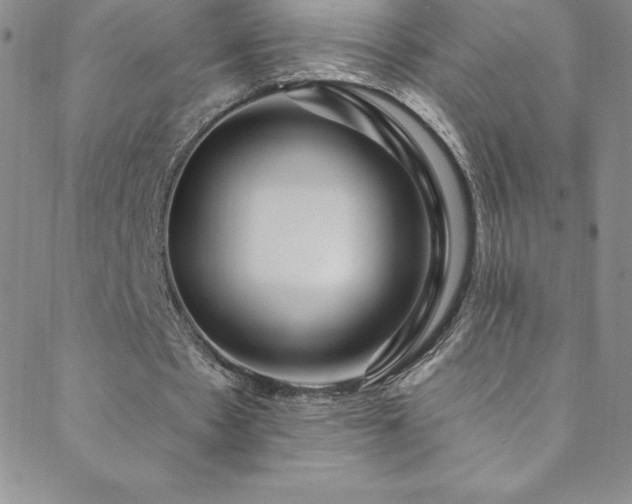 X0000088880481200706081245