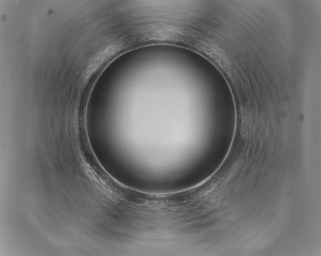 X0000088880482200706081245