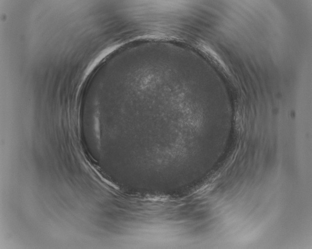 X0000088880484200706081245