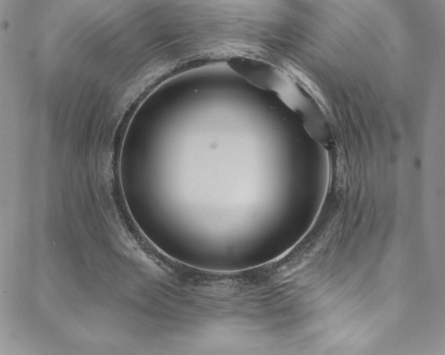 X0000088880485200706081245