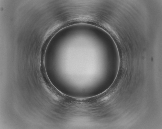 X0000088880486200706081245