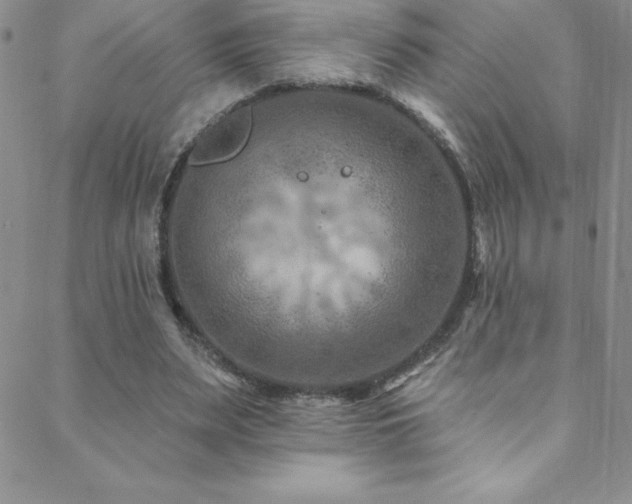 X0000088880487200706081245