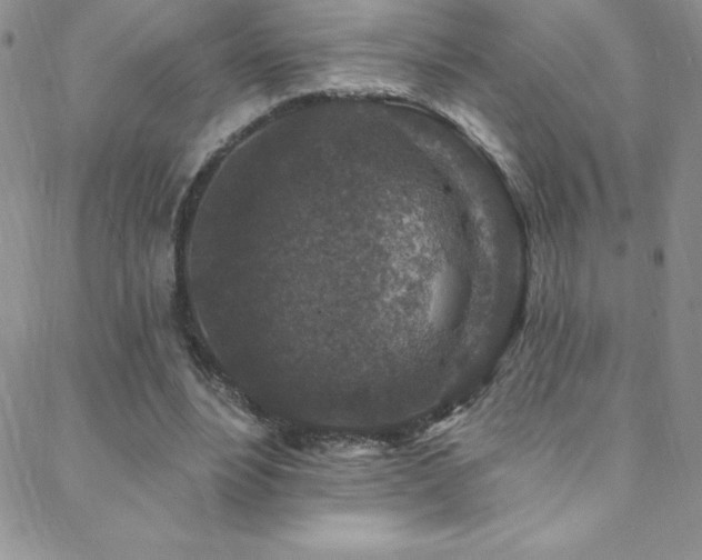 X0000088880488200706081245