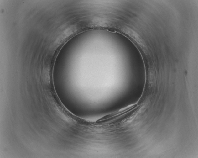 X0000088880489200706081245