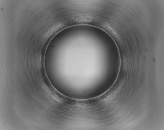 X0000088880490200706081245