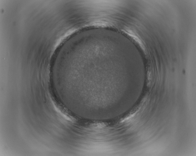 X0000088880492200706081245