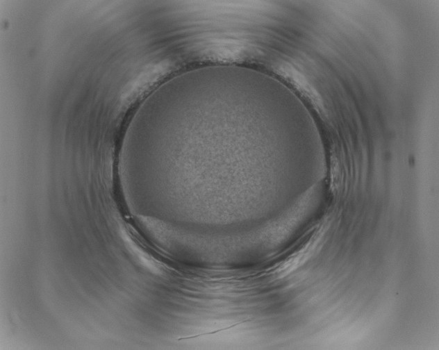 X0000088880493200706081245