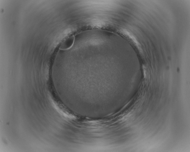 X0000088880496200706081244