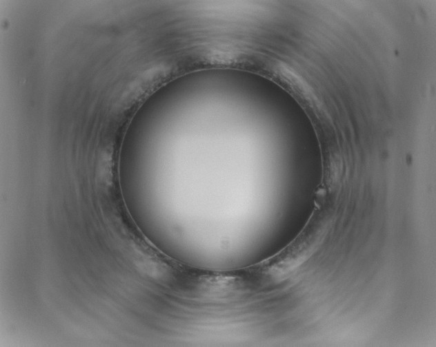 X0000088880497200706081244