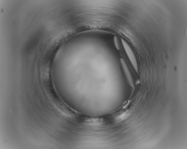 X0000088880499200706081244