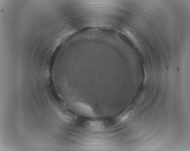 X0000088880500200706081244