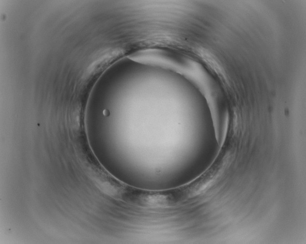 X0000088880501200706081244