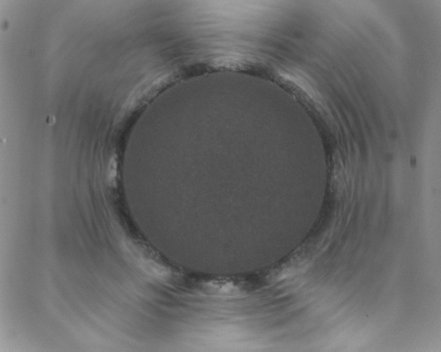 X0000088880502200706081244