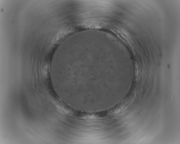 X0000088880503200706081244