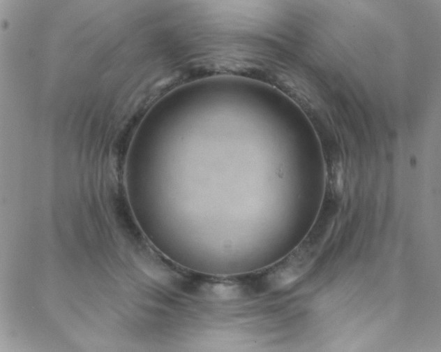 X0000088880506200706081244