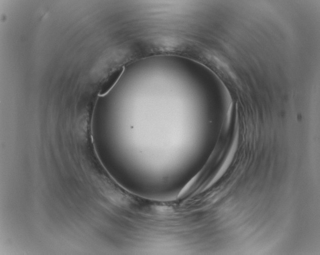 X0000088880509200706081244