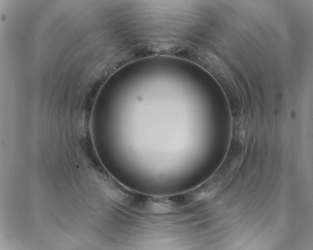 X0000088880510200706081244