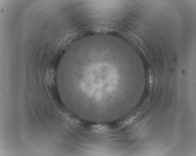 X0000088880511200706081244