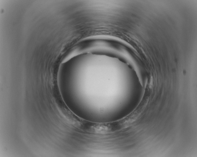 X0000088880512200706081244