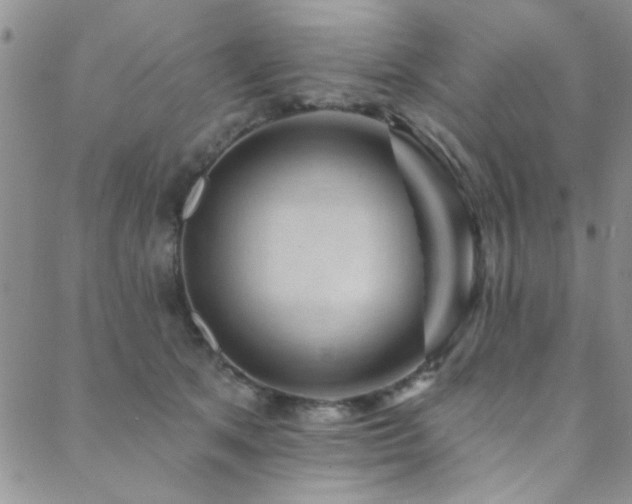 X0000088880513200706081244