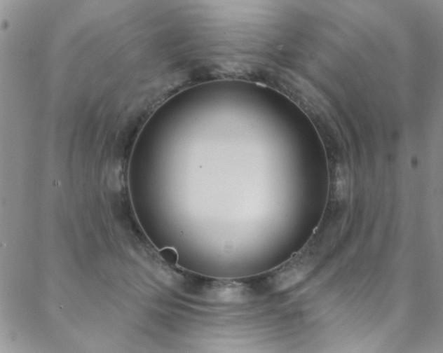 X0000088880514200706081244