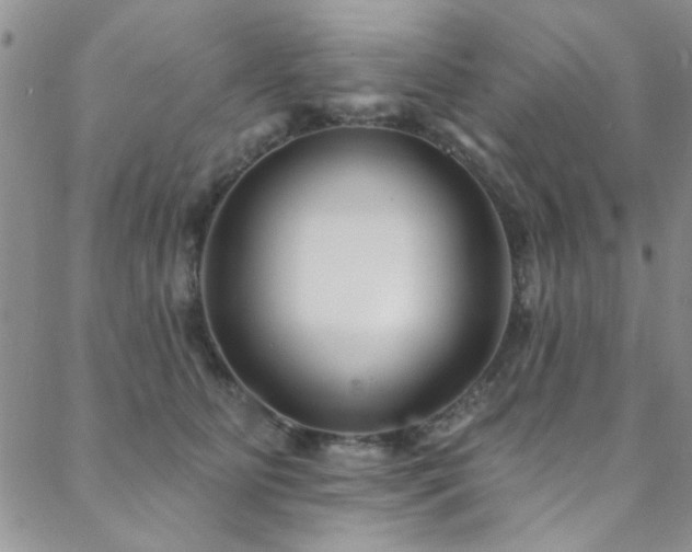 X0000088880515200706081244