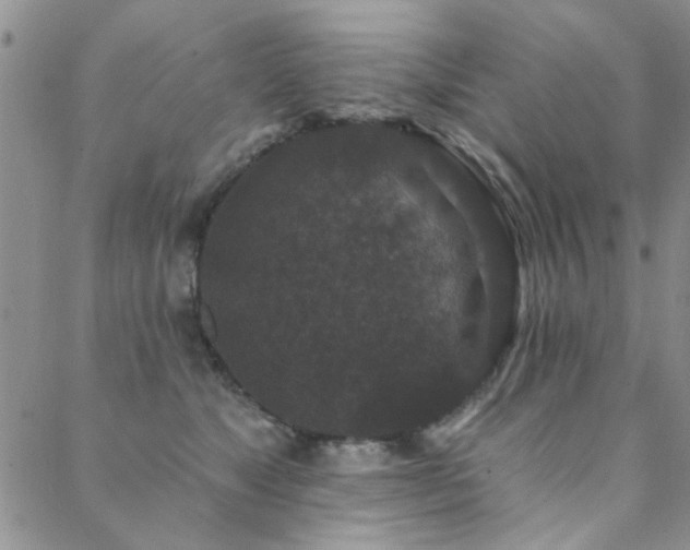 X0000088880517200706081244