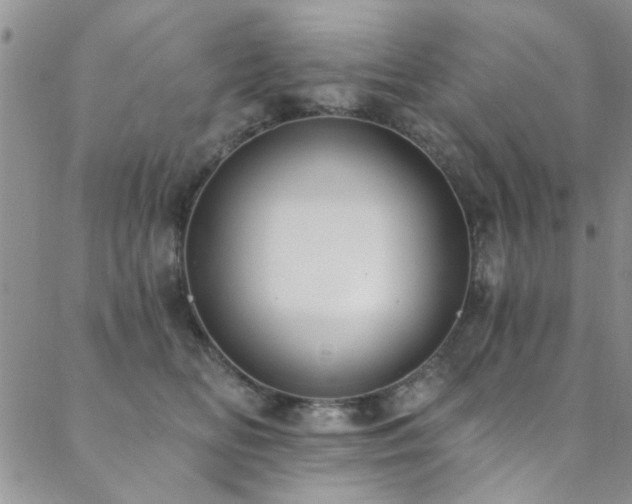 X0000088880518200706081244