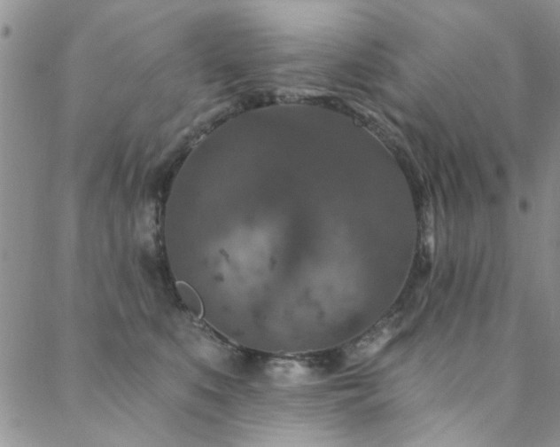 X0000088880519200706081244