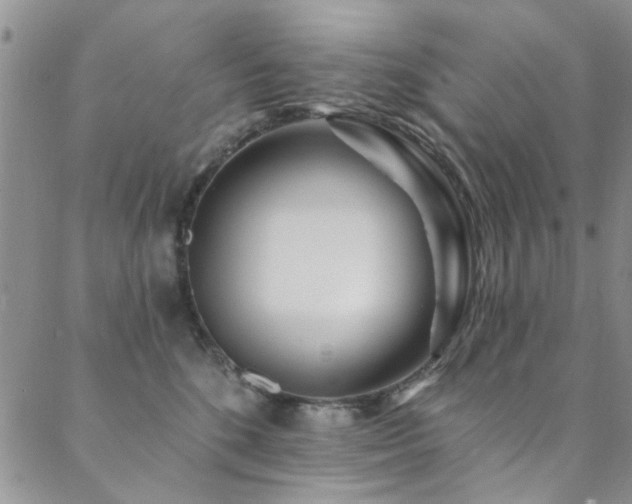 X0000088880520200706081244