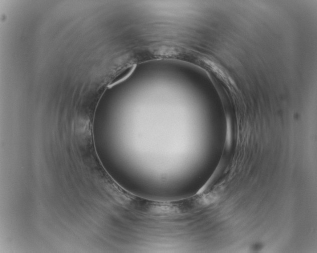 X0000088880521200706081244