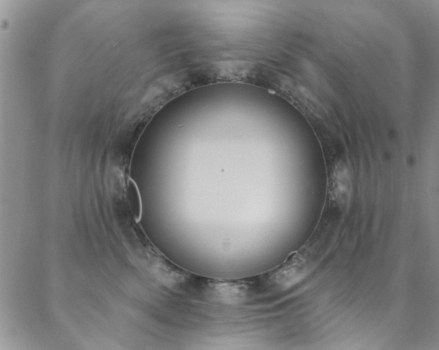 X0000088880522200706081244