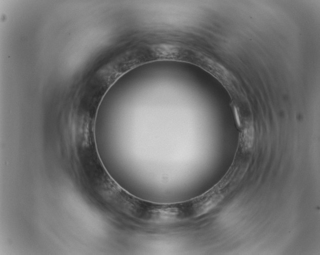 X0000088880525200706081244