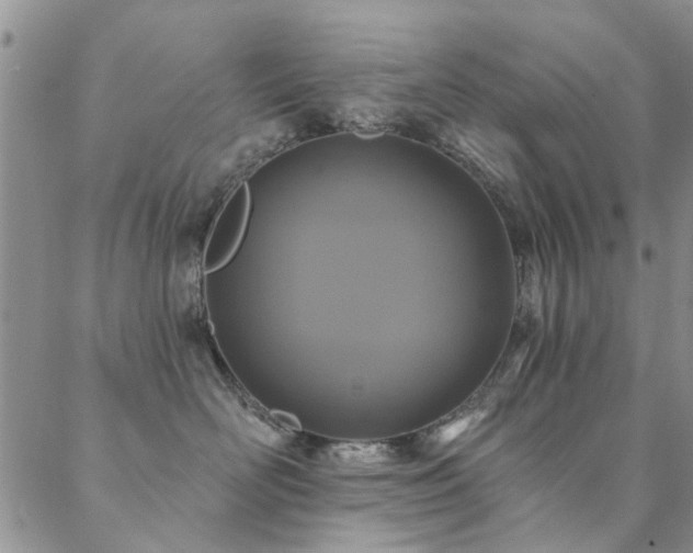 X0000088880526200706081244