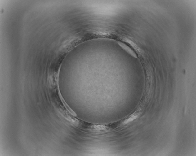 X0000088880528200706081244