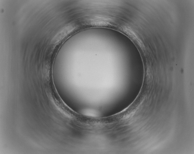 X0000088880533200706081243