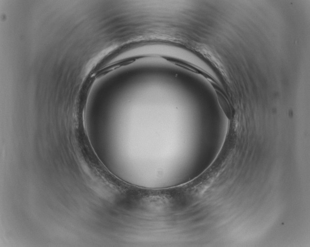 X0000088880536200706081243