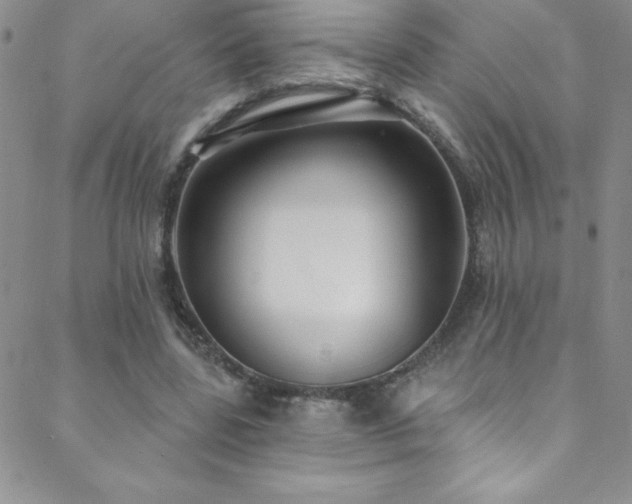 X0000088880539200706081243