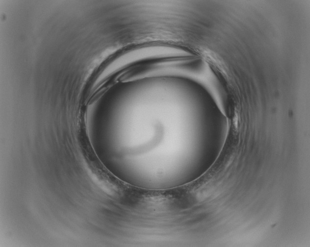 X0000088880540200706081243
