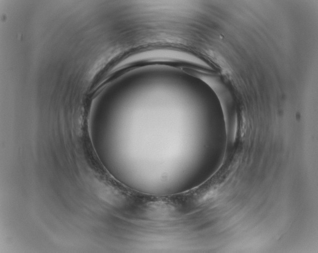 X0000088880544200706081243