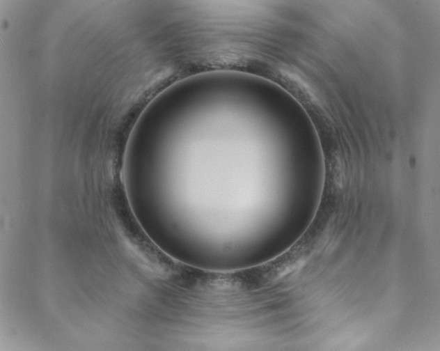 X0000088880546200706081243