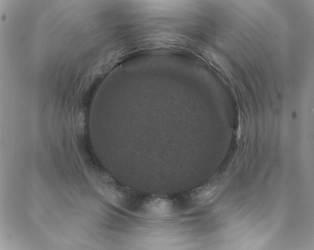 X0000088880551200706081244