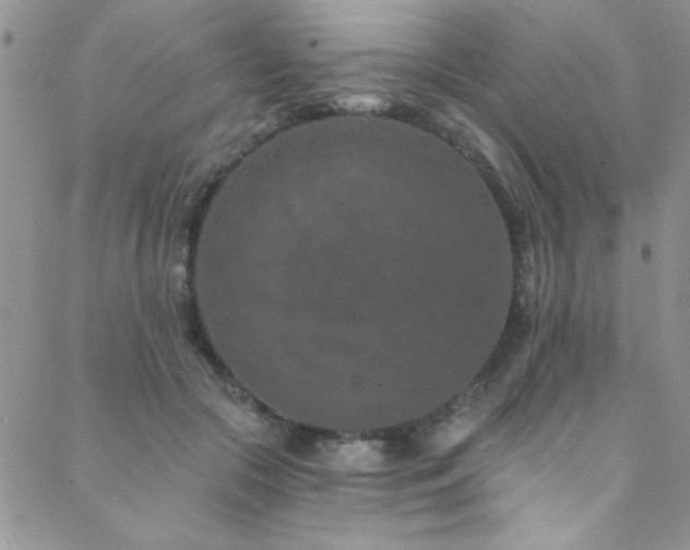 X0000088880553200706081244