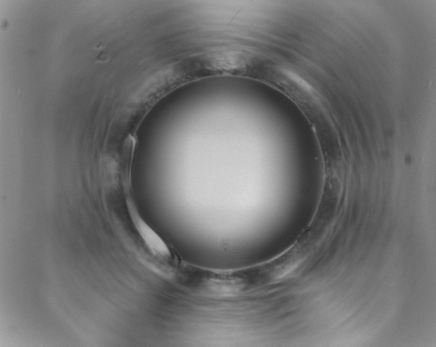 X0000088880556200706081244