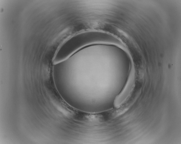 X0000088880558200706081244