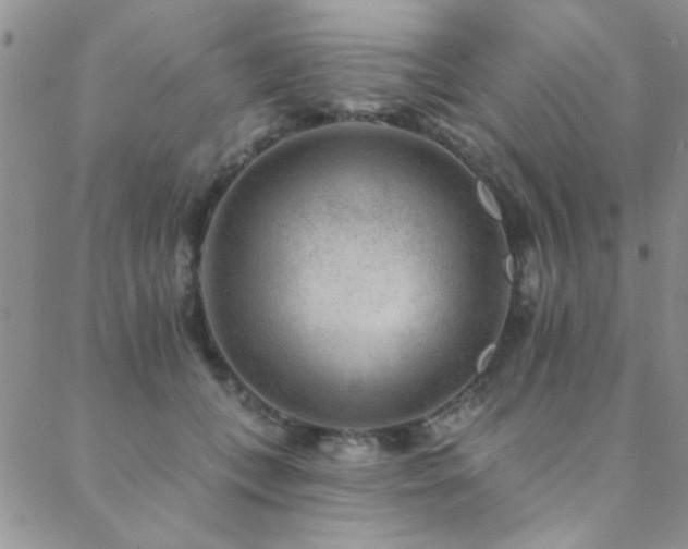 X0000088880559200706081244