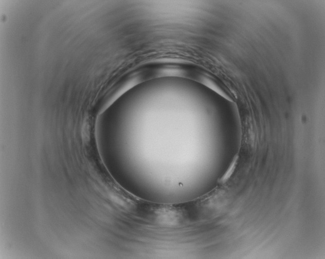 X0000088880562200706081244