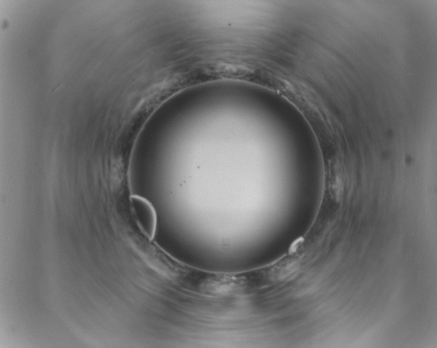 X0000088880563200706081244