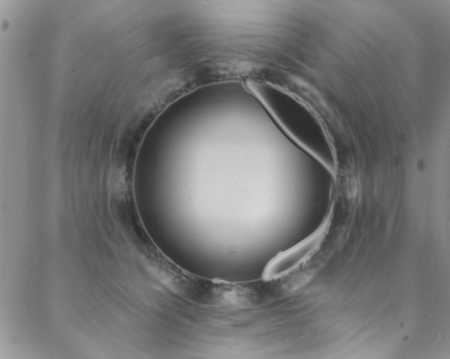 X0000088880564200706081244